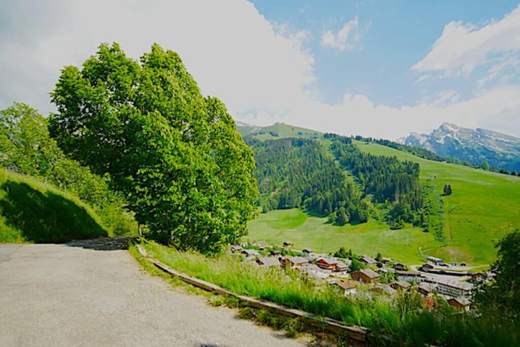 Appartement Cozy Dans Chalet 6 Pers Voiture 4 Roues Motrice A Dispo La Clusaz Εξωτερικό φωτογραφία